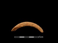 藏品(陶把)的圖片