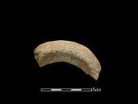 藏品(陶把)的圖片