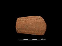 藏品(陶把)的圖片