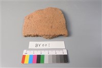 藏品(陶片)的圖片