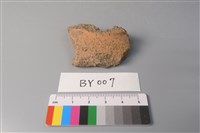 藏品(陶片)的圖片