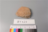 藏品(陶片)的圖片