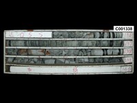 藏品()的圖片