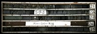 藏品()的圖片