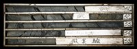 藏品()的圖片