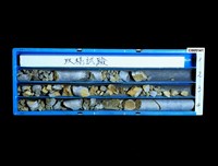 藏品()的圖片