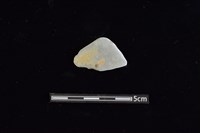 藏品(陶片)的圖片