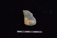 藏品(陶罐)的圖片