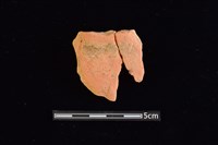 藏品(陶片)的圖片