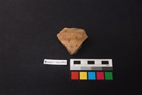 藏品(陶片)的圖片