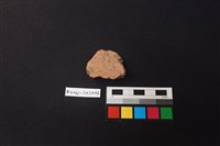 藏品(陶片)的圖片