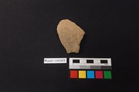 藏品(陶片)的圖片