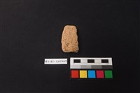 藏品(陶片)的圖片