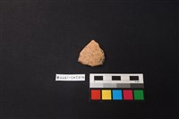 藏品(陶片)的圖片