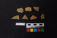 藏品(陶片)的圖片