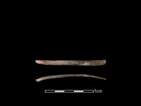 藏品(山羌骨)的圖片