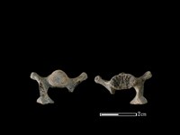 藏品(狗骨)的圖片