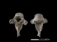 藏品(狗骨)的圖片