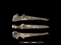 藏品(狗骨)的圖片