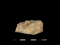 藏品(石材)的圖片