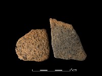 藏品(陶片)的圖片