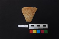 藏品(陶片)的圖片