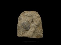 藏品(斧鋤形器)的圖片