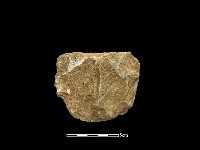 藏品(斧鋤形器)的圖片