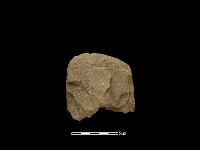 藏品(斧鋤形器)的圖片