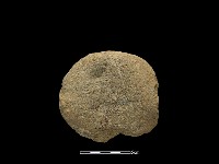 藏品(砍砸器)的圖片