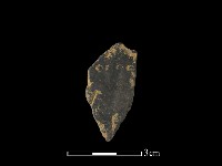 藏品(陶片)的圖片