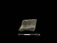 藏品(陶片)的圖片