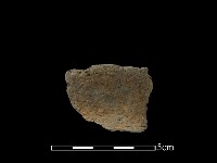 藏品(陶片)的圖片