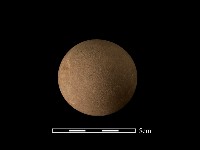 藏品(石球)的圖片