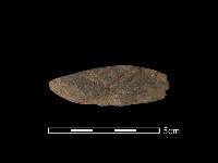 藏品(網墜)的圖片