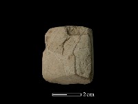 藏品(錛鑿形器)的圖片