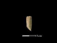 藏品(錛鑿形器)的圖片