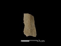 藏品(矛鏃形器)的圖片