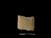 藏品(矛鏃形器)的圖片