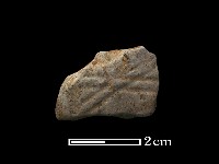 藏品(陶片)的圖片