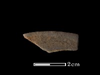 藏品(陶片)的圖片