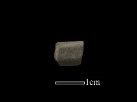 藏品(陶環)的圖片