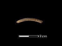 藏品(陶環)的圖片