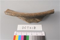 藏品(陶片)的圖片