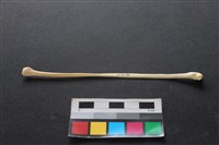 藏品(狗骨)的圖片