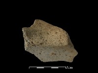 藏品(陶片)的圖片