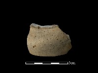 藏品(陶片)的圖片