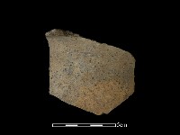 藏品(陶片)的圖片