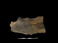 藏品(陶片)的圖片