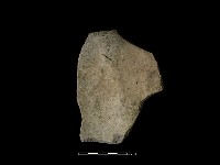 藏品(陶片)的圖片